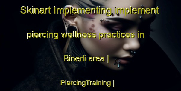Skinart Implementing implement piercing wellness practices in Binerli area | PiercingTraining | PiercingClasses | SkinartTraining-Turkey